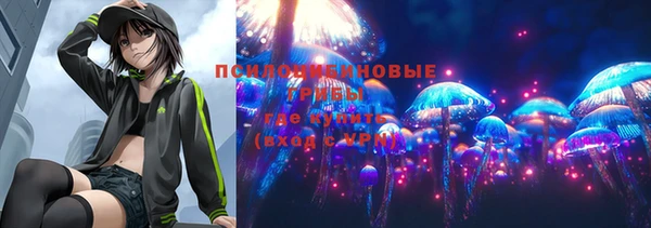 крисы Баксан