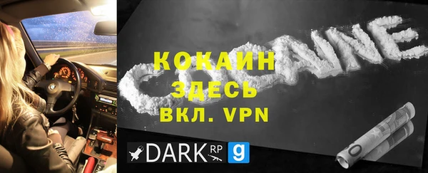 крисы Баксан