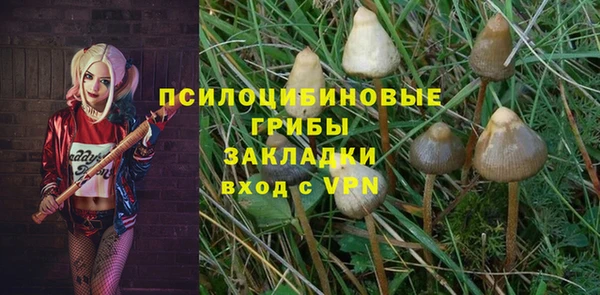 крисы Баксан