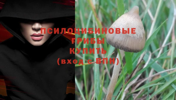 а пвп мука Новодвинск