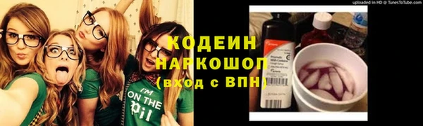 крисы Баксан
