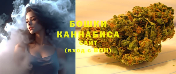 крисы Баксан