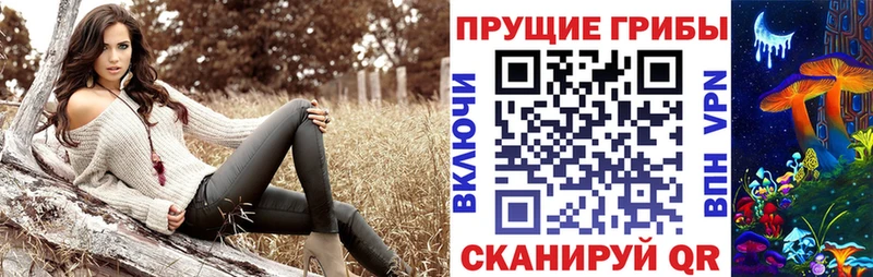 Галлюциногенные грибы мицелий  купить   Сланцы 